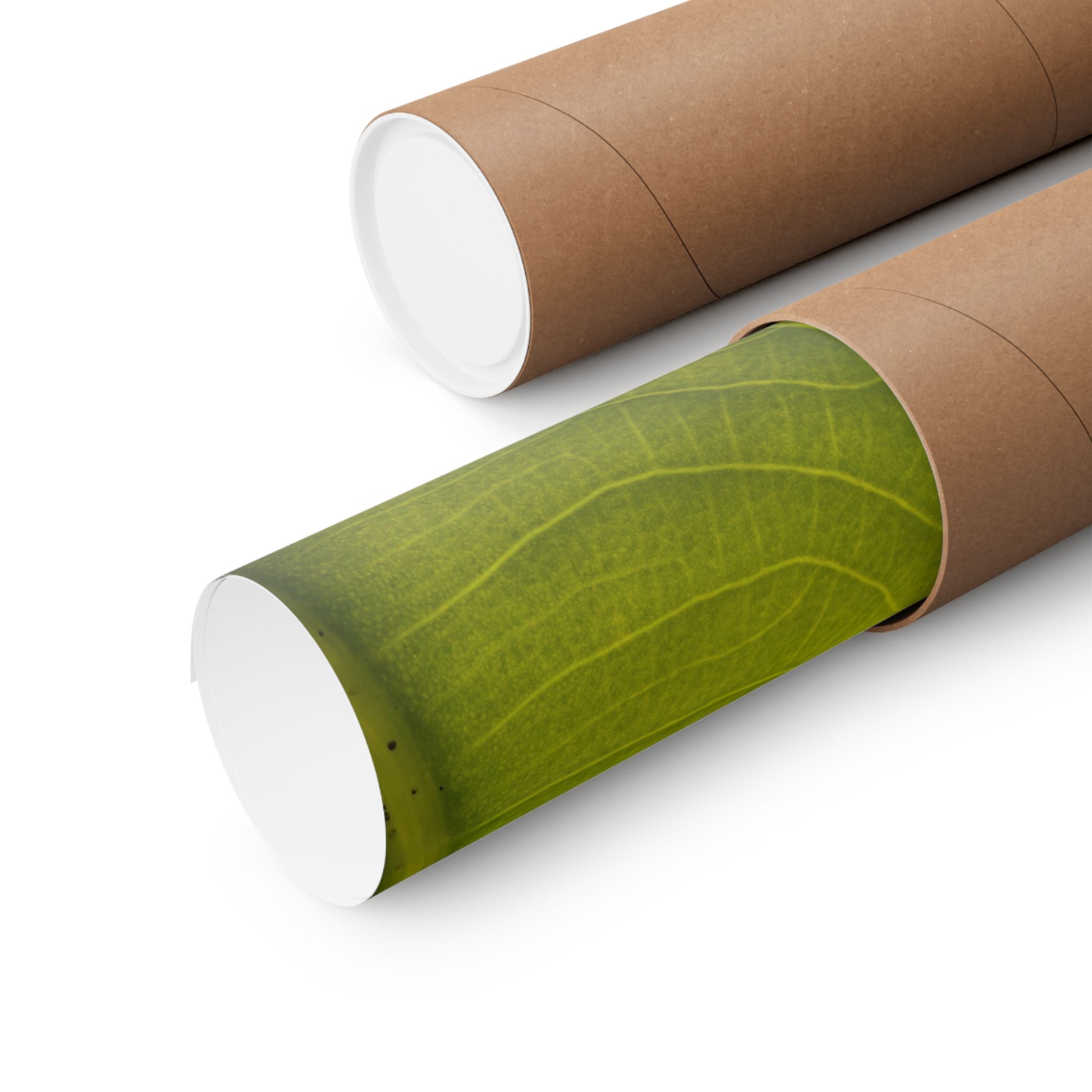 Botanical Leaf Close-Up Matte Poster — Green Nature Wall Art (Horizontal)