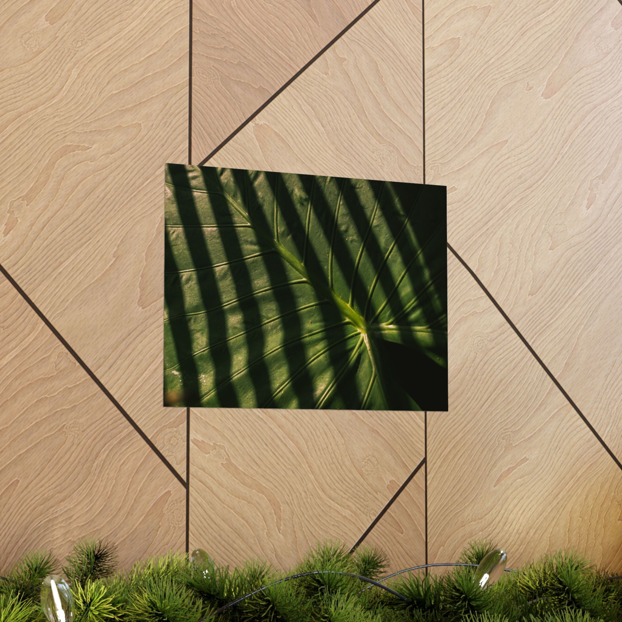 Elephant Ear Plant Matte Horizontal Poster — Cinematic Botanical Wall Art