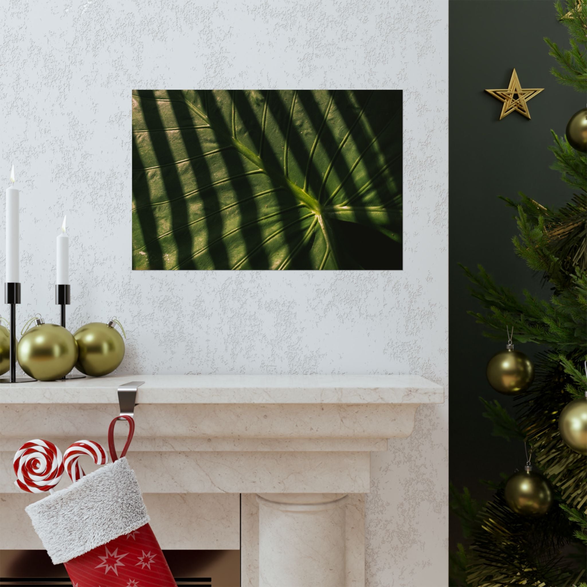 Elephant Ear Plant Matte Horizontal Poster — Cinematic Botanical Wall Art