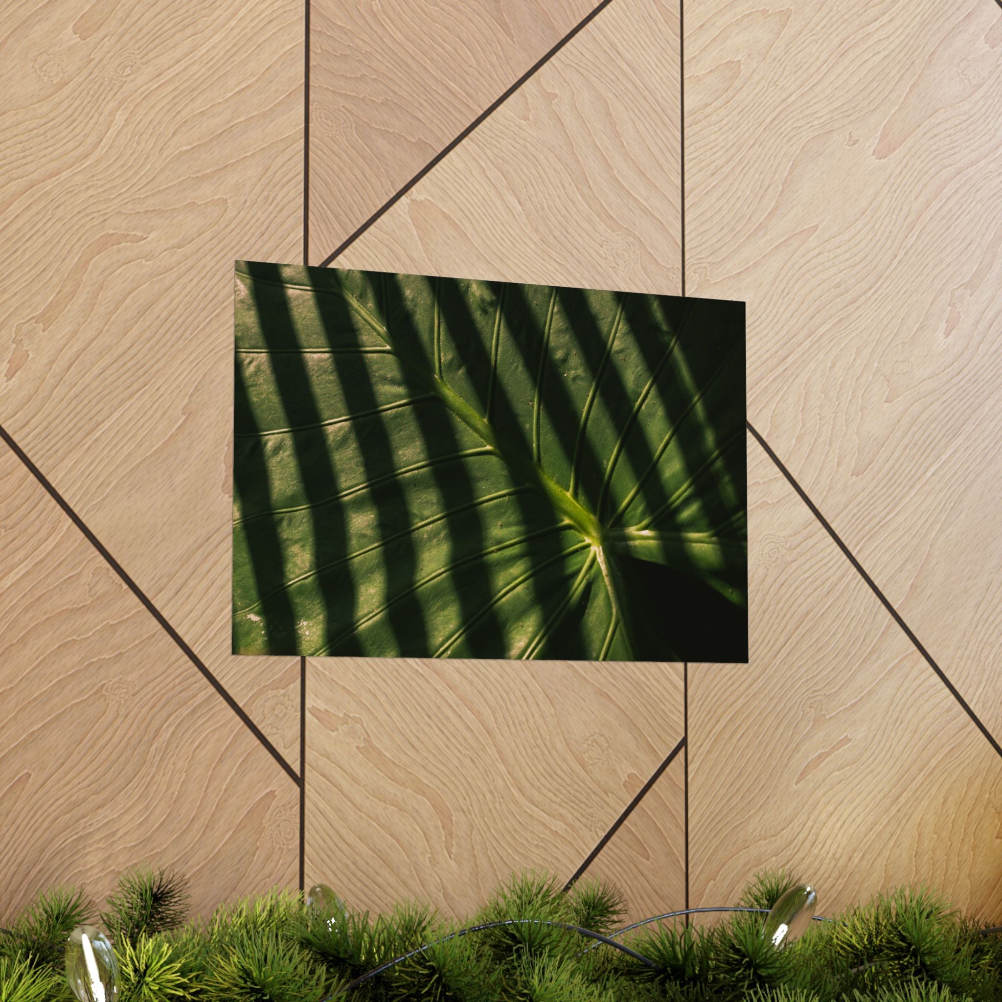 Elephant Ear Plant Matte Horizontal Poster — Cinematic Botanical Wall Art
