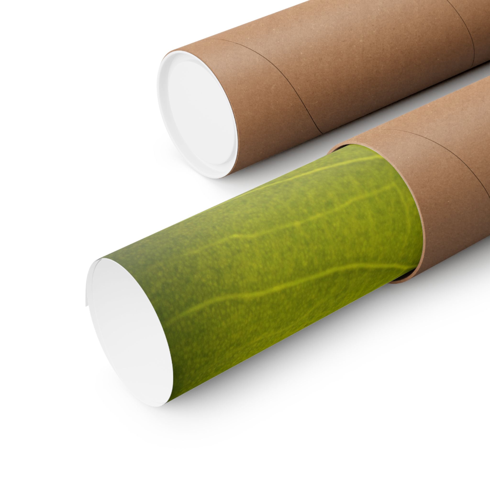 Botanical Leaf Close-Up Matte Poster — Green Nature Wall Art (Horizontal)