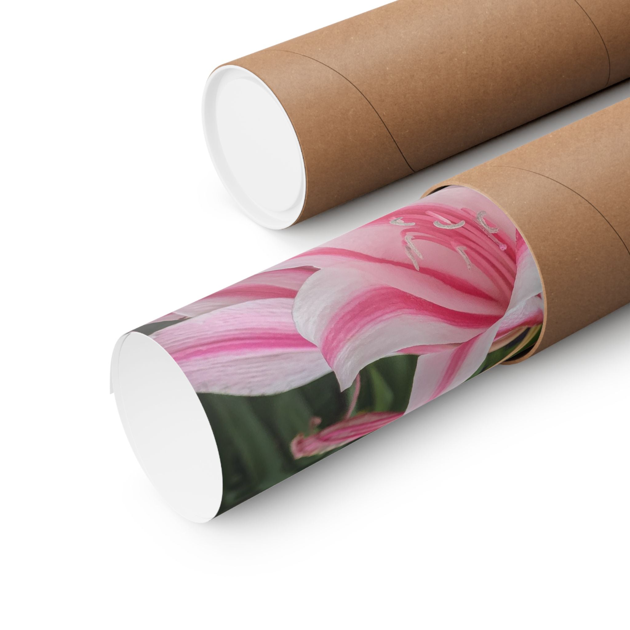 Pink Lily Botanical Matte Poster — Vertical Floral Wall Art